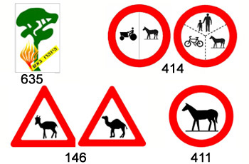 146